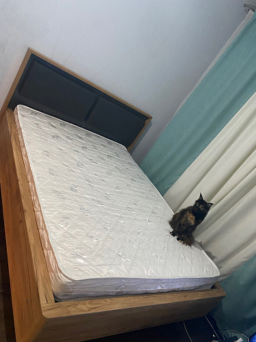 Двуспальная кровать Клауд 160х200 парящая дуб крафт золотой / антрацит фото покупателя 74