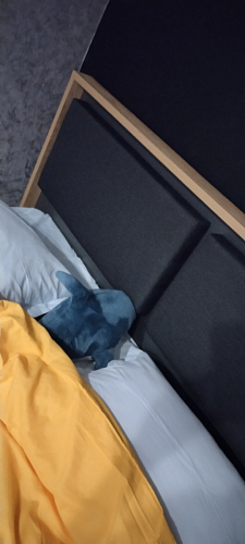 Двуспальная кровать Клауд 160х200 парящая дуб крафт золотой / антрацит фото покупателя 146