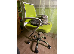 Компьютерное кресло Ergoplus белое / серое фото покупателя 10