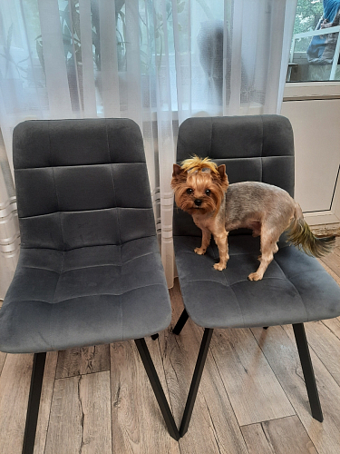 Комплект стульев Чилли 2 шт бежевый / черный фото покупателя 728