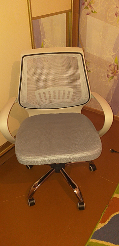 Компьютерное кресло Ergoplus белое / серое фото покупателя 11