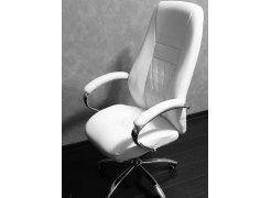 Компьютерное кресло Aragon белое фото покупателя 233