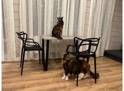 Стол Лота Лофт 120 25 мм сабия / черный матовый фото покупателя 588