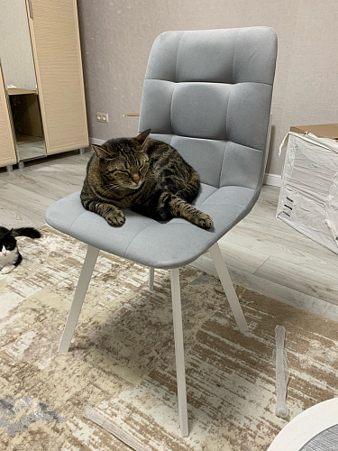 Комплект стульев Чилли 2 шт бежевый / черный фото покупателя 926