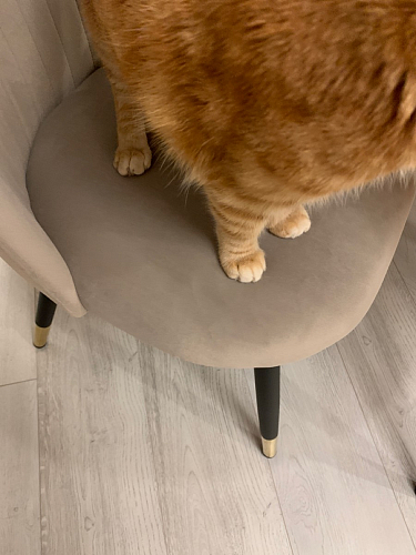 Стул на металлокаркасе Gabi gray / black фото покупателя 671