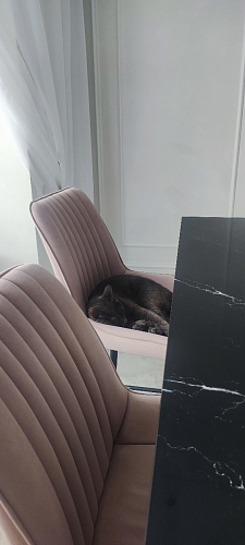 Комплект стульев Вейв 4 шт светло-серый / черный фото покупателя 337