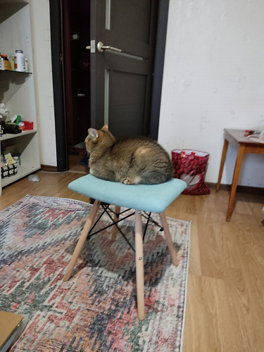 Табурет Ben grey фото покупателя 42