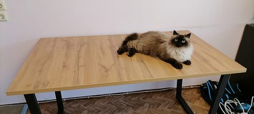 Деревянный стол Лота Лофт 120x75 дуб крафт табачный / черный матовый фото покупателя 326