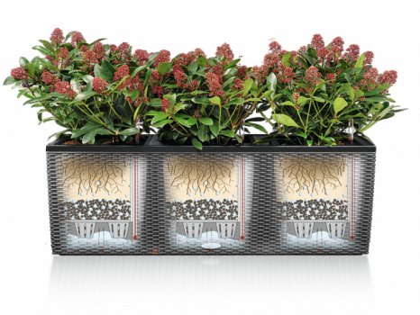 Кашпо Lechuza 15376 CUBE Cottage 30 Белый